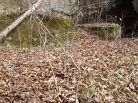 DSCF0693.webp