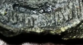 Screen Shot 2021-02-18 at 8.24.59 AM.webp