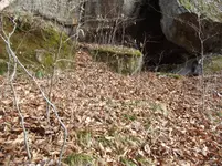 DSCF0694.webp