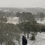 6CA4D139-8AAF-4EC5-AFD9-0B7FBDE9C75C.gif