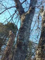 20201217_142105(1).webp