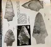 ImageUploadedByTreasureNet.com1614451847.546427.webp