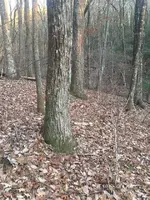 IMG_6308.webp IMG_6308.webp