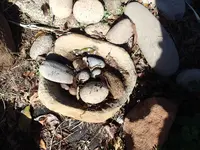 P1091541.webp