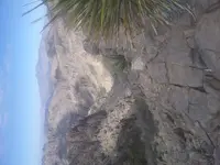 20210303_123114.webp