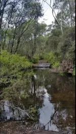 20180204_162726.webp