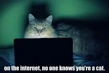 Anonymous.webp