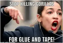 aoc.webp