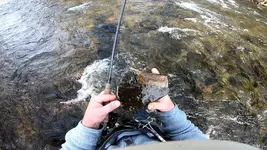 GH017272_1608433918703.webp