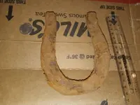 20201230_141940.webp 20201230_141940.webp