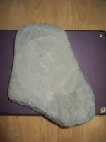 IMG_20210205_183328.webp