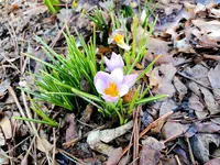 20210319_101029.webp