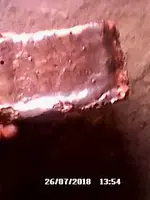 IMG-20210112-WA0014.webp