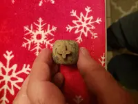20201230_193834.webp