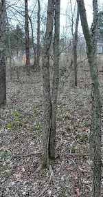 20210318_191408_HDR(1).webp