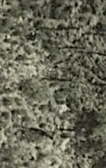 Screenshot_20210205-233637.webp