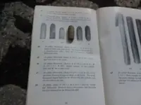 20210228_073124.webp