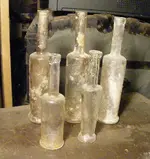 long neck.webp