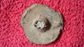 11-9-20, 37reg rev button (2).webp