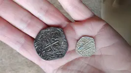 silly coins.webp