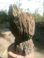 1610274676786.webp