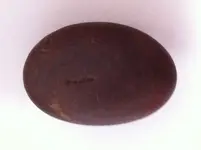 image2.webp