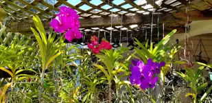 20201223_122801.webp