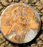 75E55928-DE44-4B62-89D7-8F79A877B90C.webp