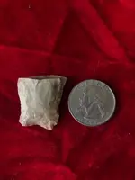 ImageUploadedByTreasureNet.com1615501971.909978.webp