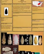 ImageUploadedByTreasureNet.com1615502101.318672.webp