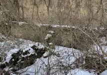 IMG_0243.webp IMG_0243.webp