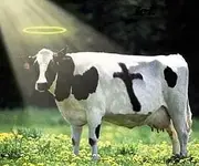holy%20cow.webp