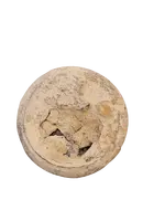 155794127_10221040290051652_8853324291597544094_o-removebg-preview.webp