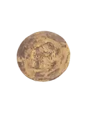 154605997_10221040609659642_1448129213052010554_o-removebg-preview.webp
