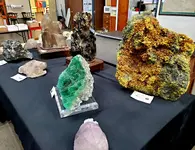 20210224_082638.webp