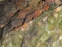 20201030_223222.webp