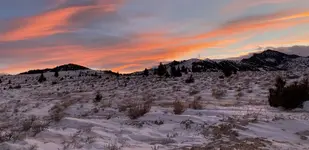 DEC25B08-4E9D-4981-9F64-168EB765B02D.webp
