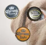 bottle caps.webp