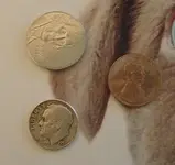 coins.webp