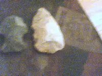 Picture 36.webp