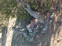MVC-119F.webp