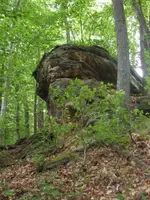 vacation photos 002 (570 x 760).webp