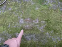 vacation photos 013 (760 x 570).webp
