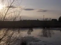 Sunset Pond R.webp