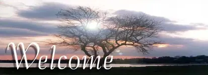 welcome.webp