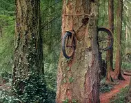 How fast does a bike go.webp
