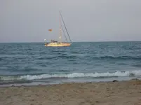 O72081.webp
