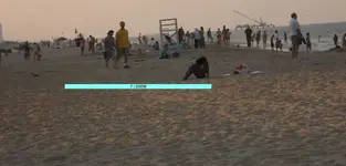 O72082.webp