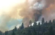 fire54.webp