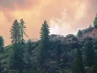 fire53.webp